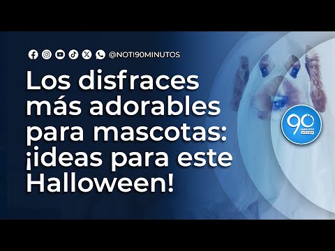 The cutest pet costumes: ideas for this Halloween! – YouTube