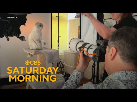 How a wildlife photographer found one his biggest challenges with house cats – YouTube