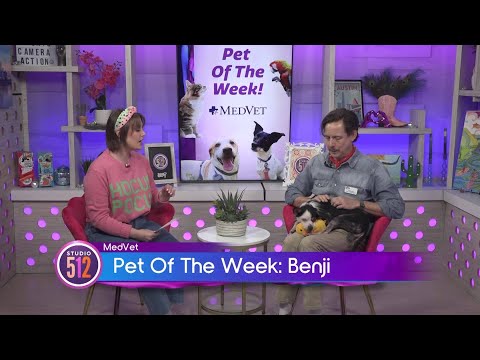 MedVet Pet Of The Week: “Benji”, From Texas Humane Heroes – YouTube