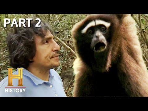 The Terror of India's Monkey-Man | MonsterQuest | Full Episode (Part 2) – YouTube