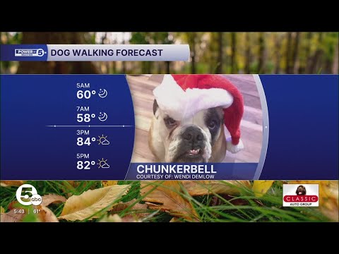 Chunkerbell trying to give us cool vibes on this hot afternoon – YouTube