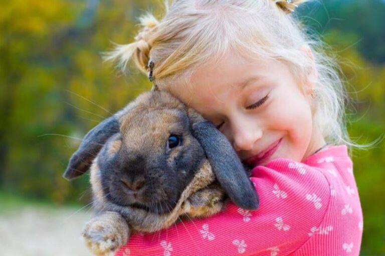 Your pet deserves the best, so shop at Chewy now – TAG24