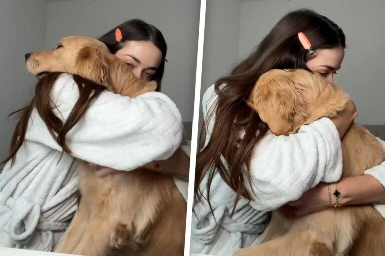 Golden retriever has precious reaction to owner's hug in viral clip: "Dogs are better than people"