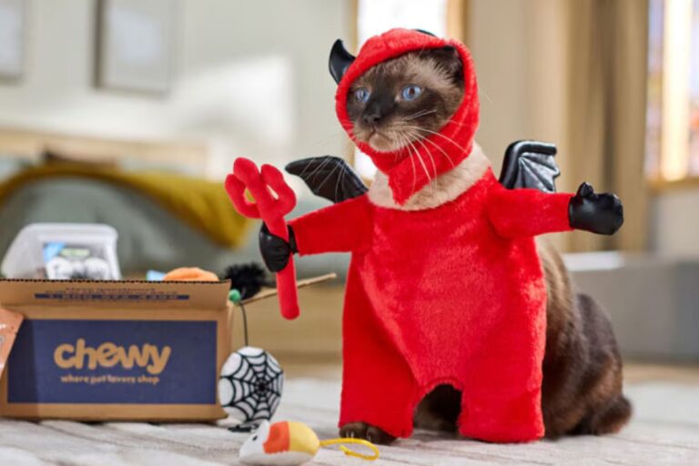 Boo-tiful deals at Chewy: Halloween pet products are massively discounted – TAG24