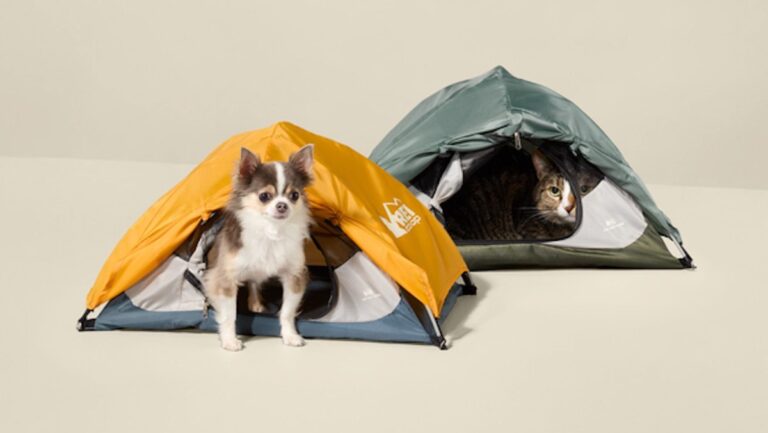 This Adorable Tiny Tent Lets You Take Your Pets Camping