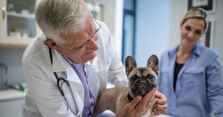 Pet owners warned as cases of contagious infection rise – Gloucestershire Live