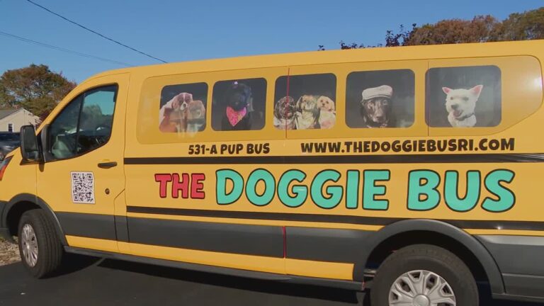 All aboard the Doggie Bus: Woman creates private transport exclusively for pets – Local 12