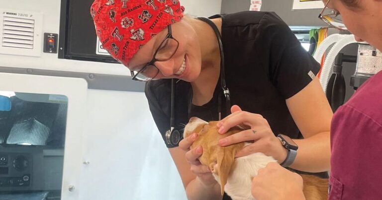 CARES aids Amarillo animals, community | La Vida | dailytoreador.com