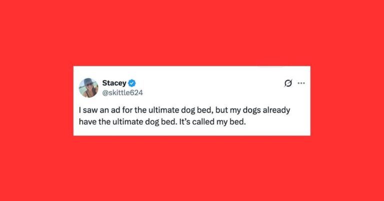 22 Of The Funniest Posts About Cats And Dogs This Week – HuffPost