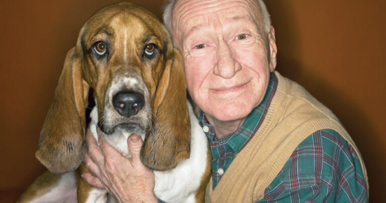 Get a pet! | Embrace – Green Valley News