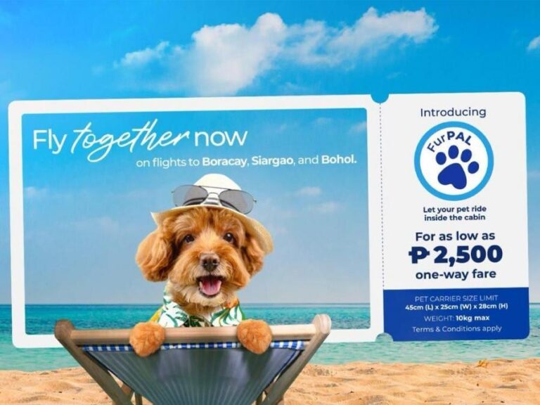 PH flag carrier now allows small dogs to fly in select domestic destinations – GMA Network