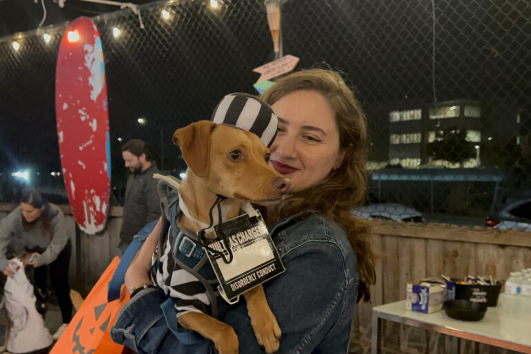 Pet fashion drives a booming industry in the U.S. – Scot Scoop News