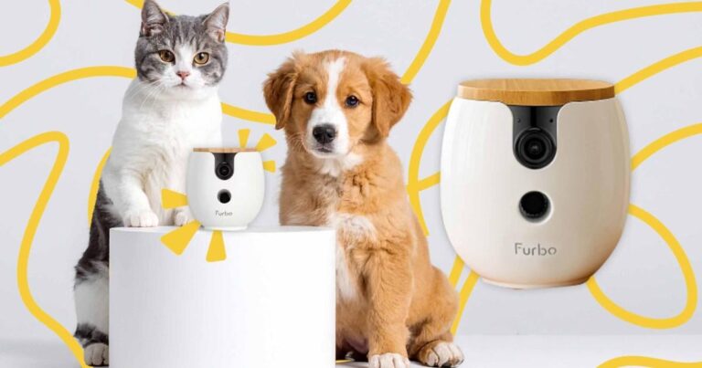 This £15 pet cam lets you check on your furry bestie – and it's now on sale for Black Friday