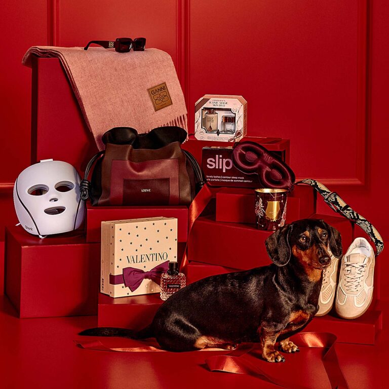 Super cute sausage dog becomes department store chain Christmas mascot