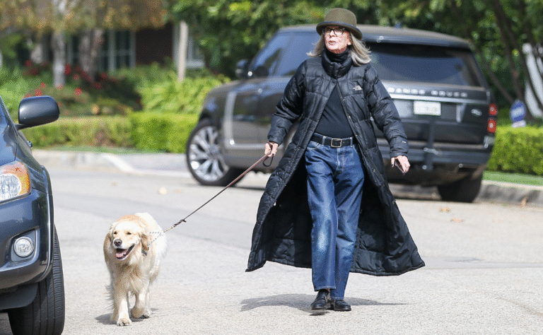 Diane Keaton's $5 Dog Trust and Estate Planning for Pets | KCM – Katie Couric Media