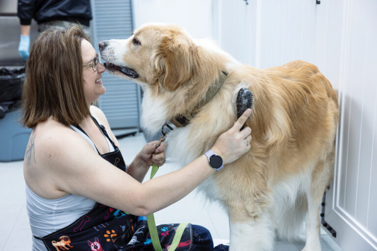 Parachutes for Pets Provides Support for Local Pet Owners Facing Hardship – Avenue Calgary