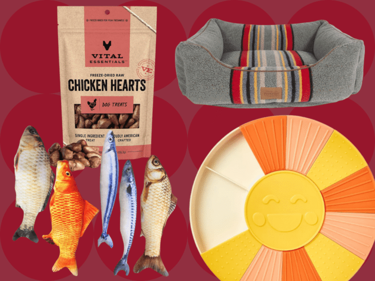 Editor-Approved Holiday Gifts for Your Pets: Toys, Snacks, & More – SheKnows