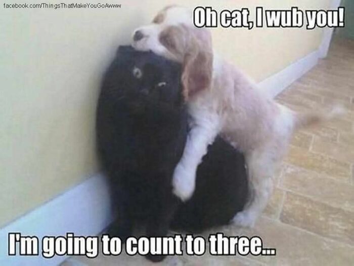 PWB Peeps Open Thread: Friendship Is Complicated – Daily Kos