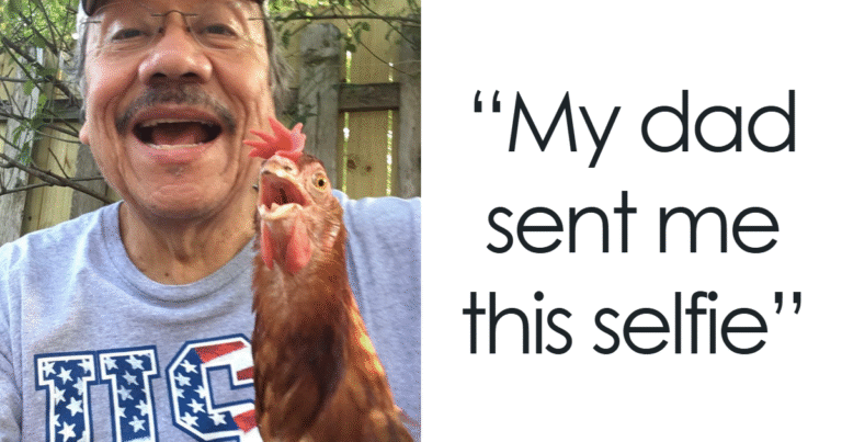 105 Funny, Wholesome And Derpy Animal Selfies You 100% Deserve To See – Bored Panda