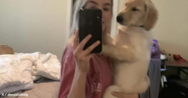 Puppy Becomes Internet Sensation After His Adorable “Booty” Photo Goes Viral