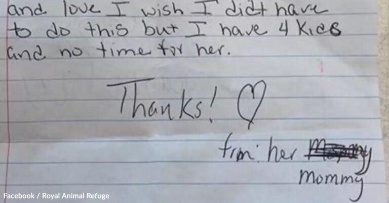 Senior Dog Left On Lawn With Heartbreaking Note Begs For One Last Chance