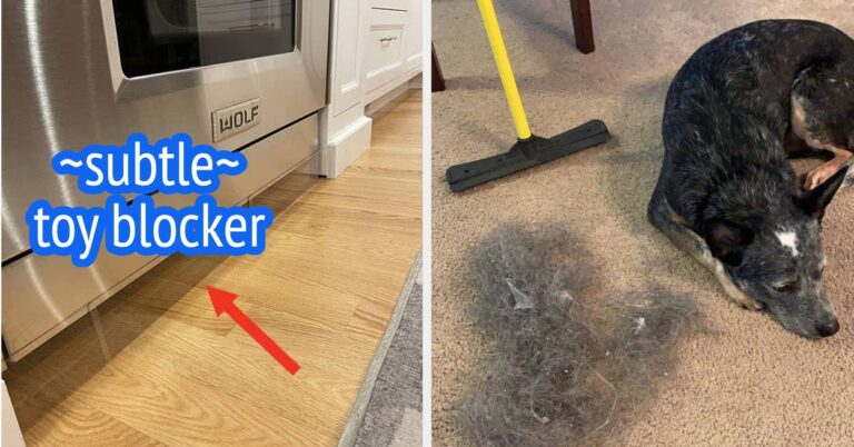 If You're Worried About Your Pets Destroying Your Stuff, Reviewers Swear By These 33 Things