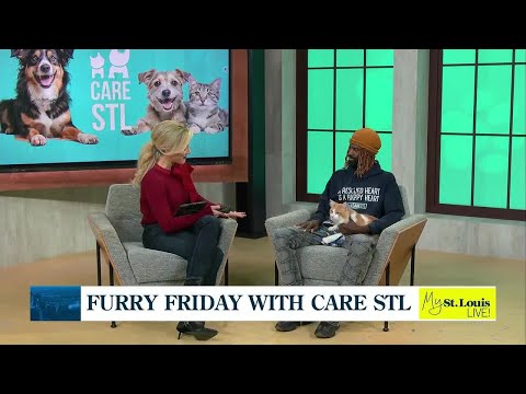 Care STL "Sip & Shop" – YouTube