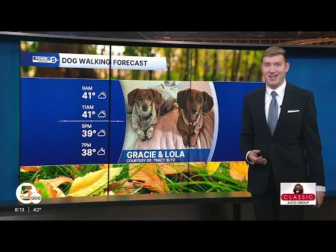 DOG WALKING FORECAST: Windy and much colder with a stray snow shower for some
