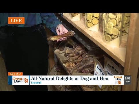 Dog and Hen – YouTube