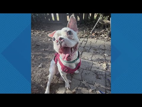 Sammy's Stars: Nov. 17, 2025 – YouTube