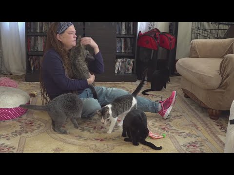 Anonymous donor helps Quad Cities animal rescue erase more than $23K in vet debt to … – YouTube