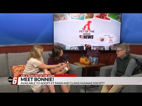 Pet of the Week: Bonnie and Max – YouTube