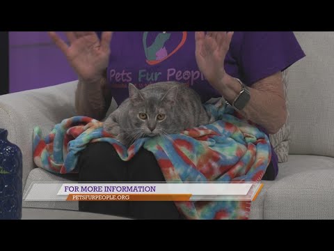 Pets Fur People: Meet Julie – YouTube
