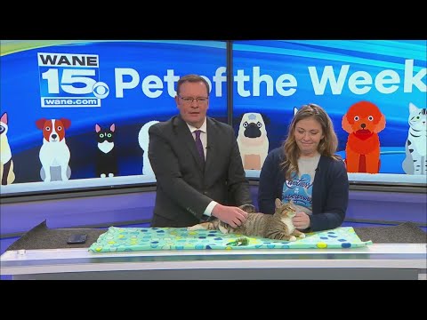 Pet of the Week 11/25/25 – YouTube