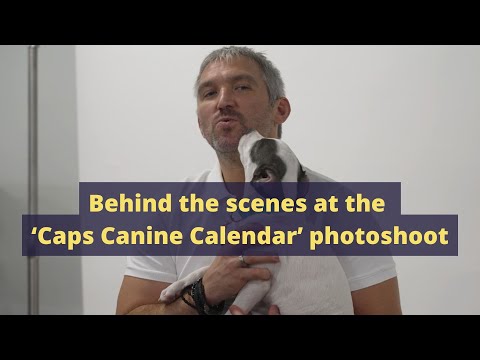 Behind the scenes at the 'Capitals Canine Calendar' photoshoot – YouTube