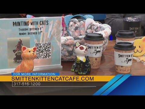 Purr-fect Times at the Smitten Kitten Cat Cafe – 11/25/25 – YouTube