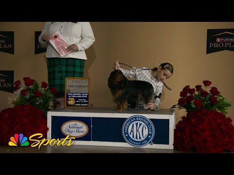 American Kennel Club junior handlers 'are our future' | NBC Sports – YouTube