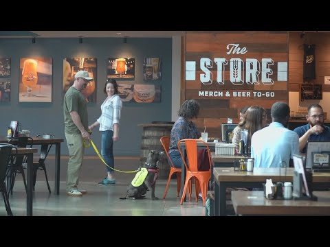 Volunteer couple takes shelter dogs on 'daycations' — and it's leading to adoptions