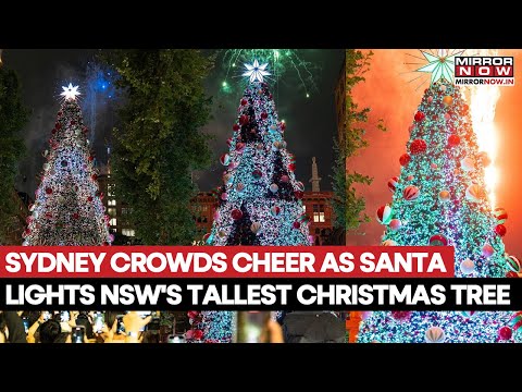 Sydney Crowds Cheer At Martin Place As Santa Lights NSW's Tallest Christmas Tree | Watch