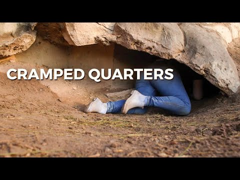 Going inside the bear's den – YouTube