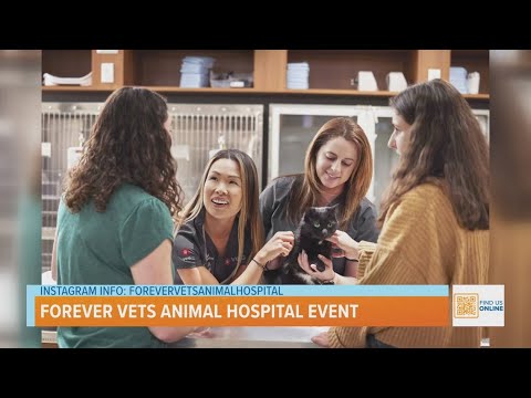 Senior Health Pet Month with VEG ER for Pets – YouTube