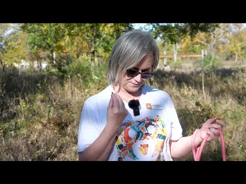 Purina Presents: Meet Jake in Pet of the Week – YouTube