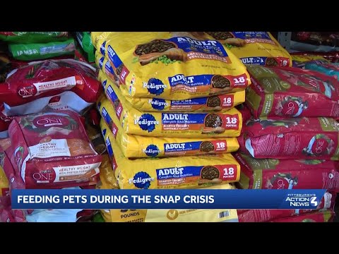 SNAP delays leave families choosing between feeding themselves or their pets – YouTube