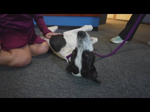 Sammy's Stars: Nov. 13, 2025 – YouTube