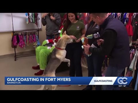 'Gulfcoasting' for Pet Fest at the Lee County Domestic Animal Services – YouTube