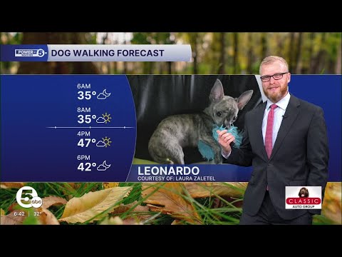 DOG WALKING FORECAST: Tiny jumps in temperatures today – YouTube