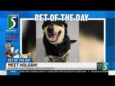 TV5 Pet of the Day: Meet Holgan! – YouTube