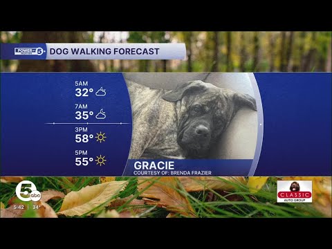 Meet Gracie! – YouTube