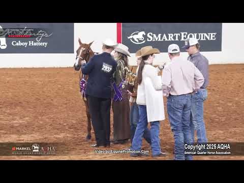 2025 Amateur Weanling Fillies World Champion – YouTube