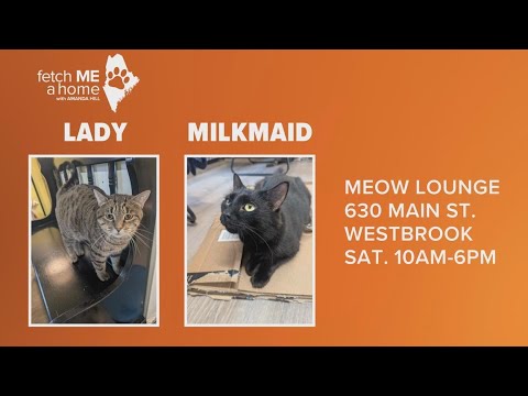 Fetch ME a Home: Lady & Milkmaid – YouTube
